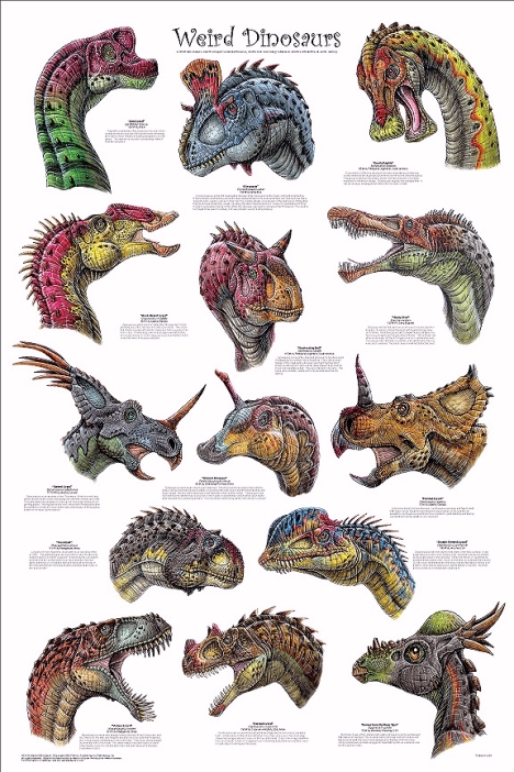 Dinosaurios raros